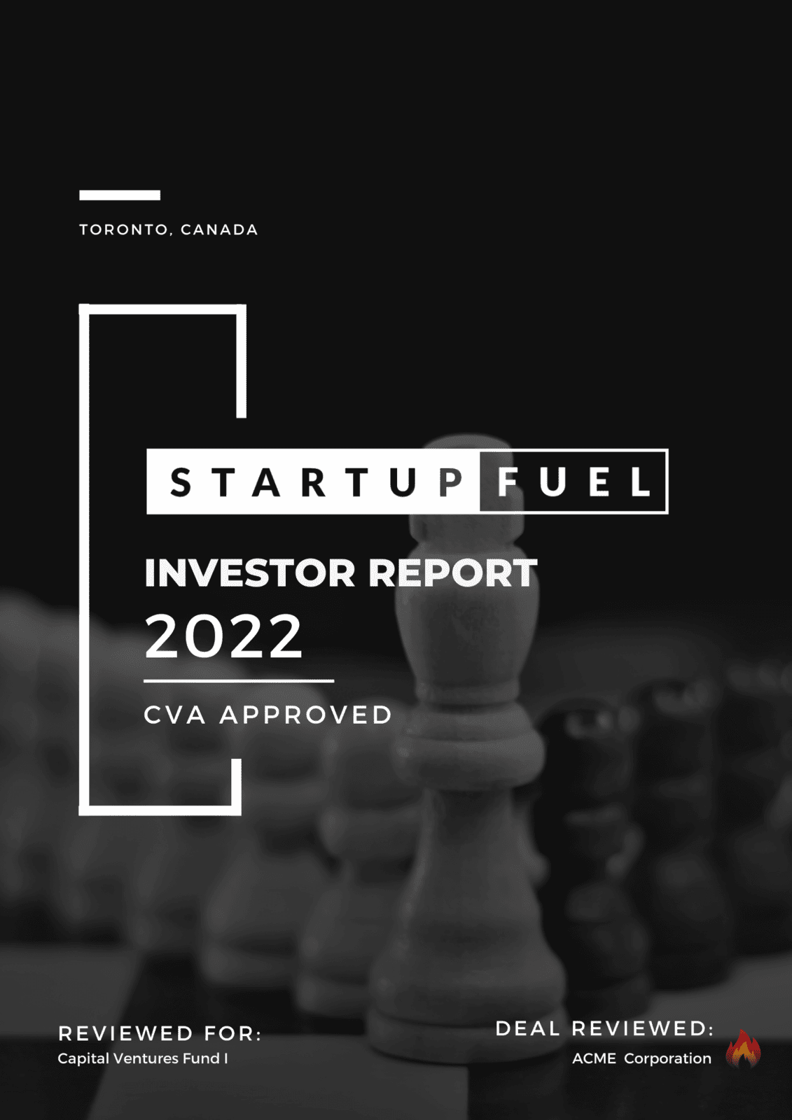Startup Investor Report - Level 3 Due Diligence