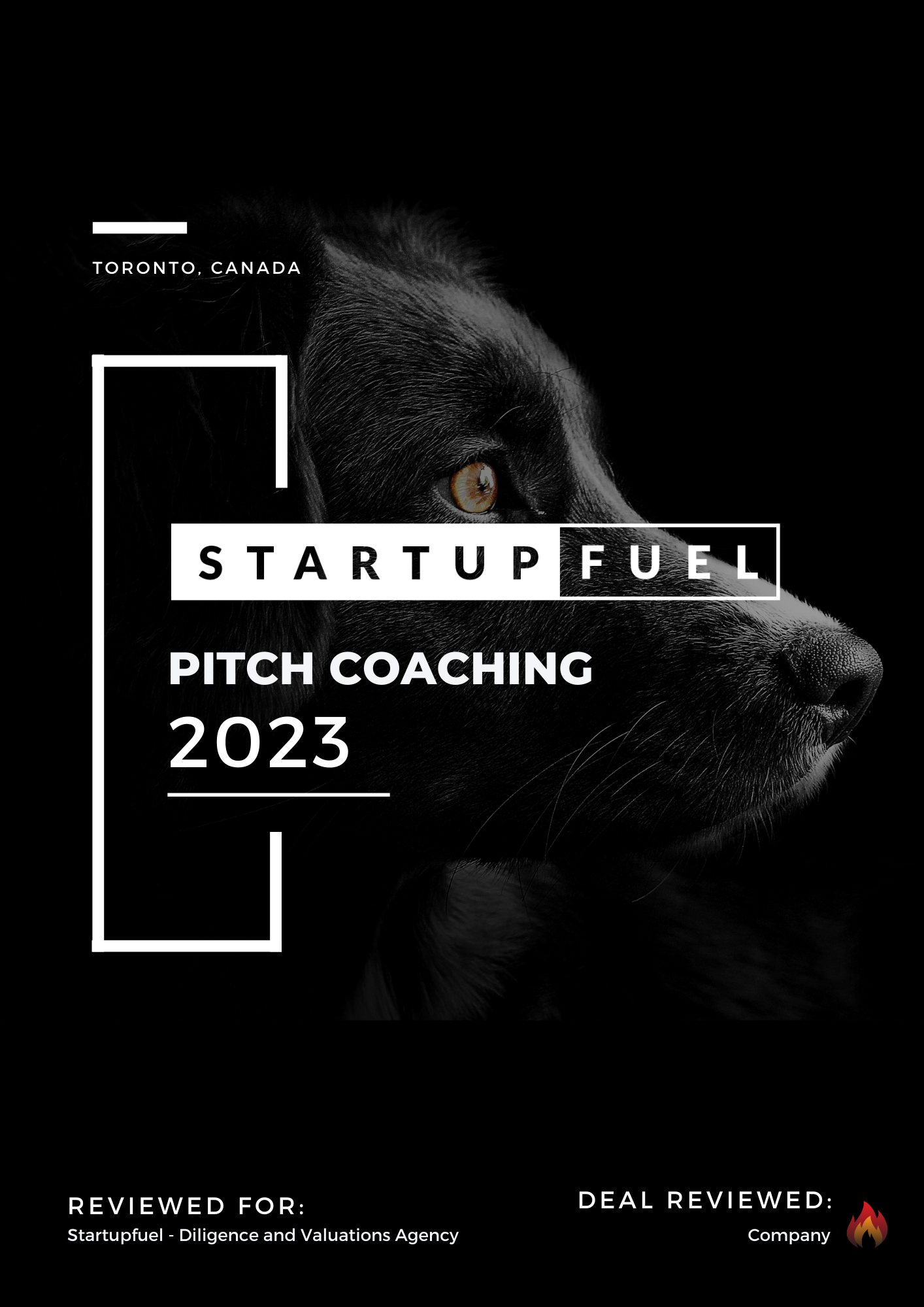 Startup Investor Pitch Assessment & Coaching