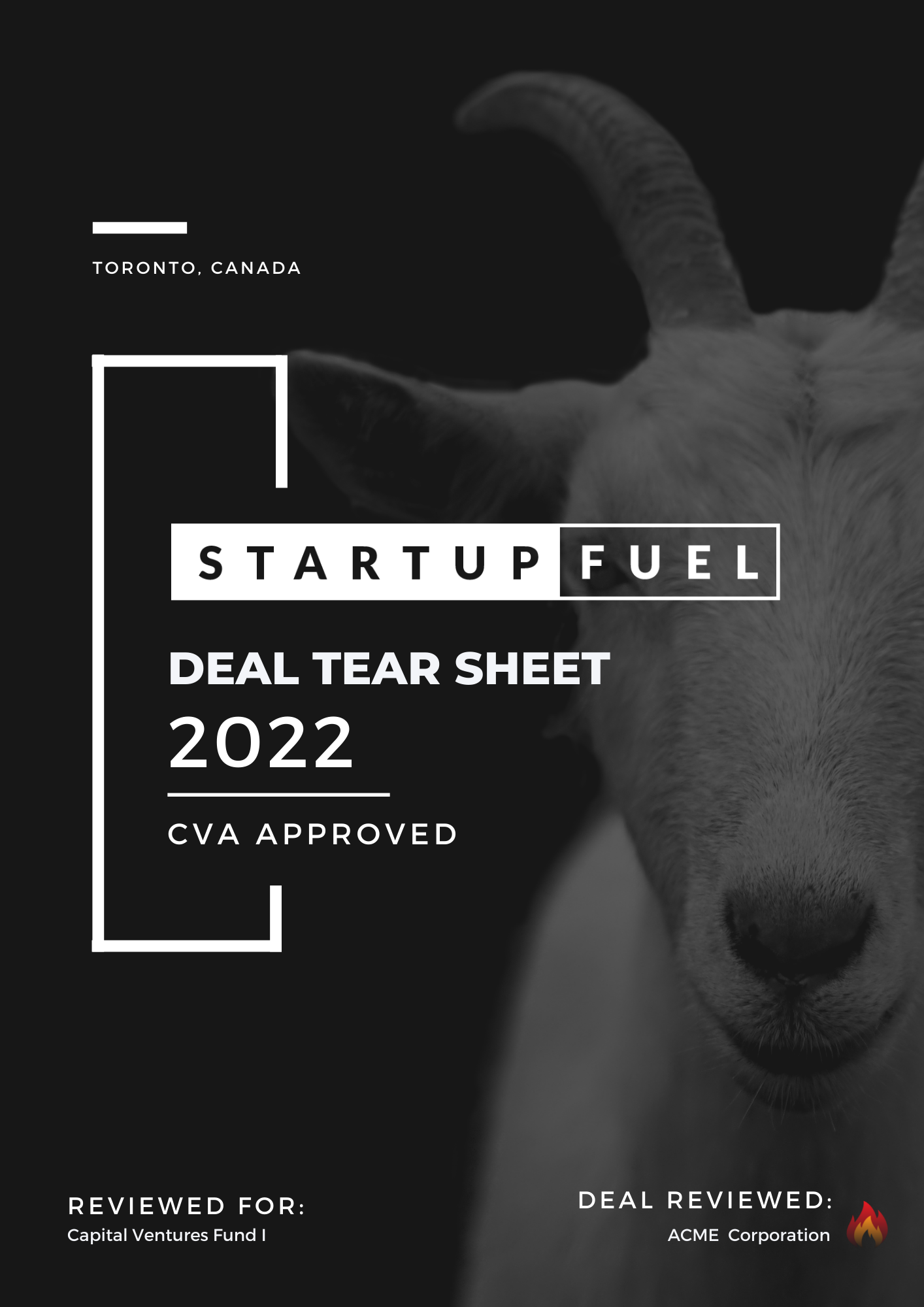 Startup Tear Sheet - Level 1 Due Diligence