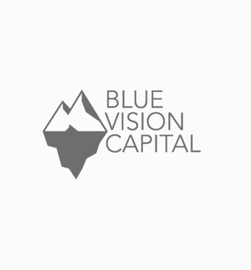 Blue Vision Capital